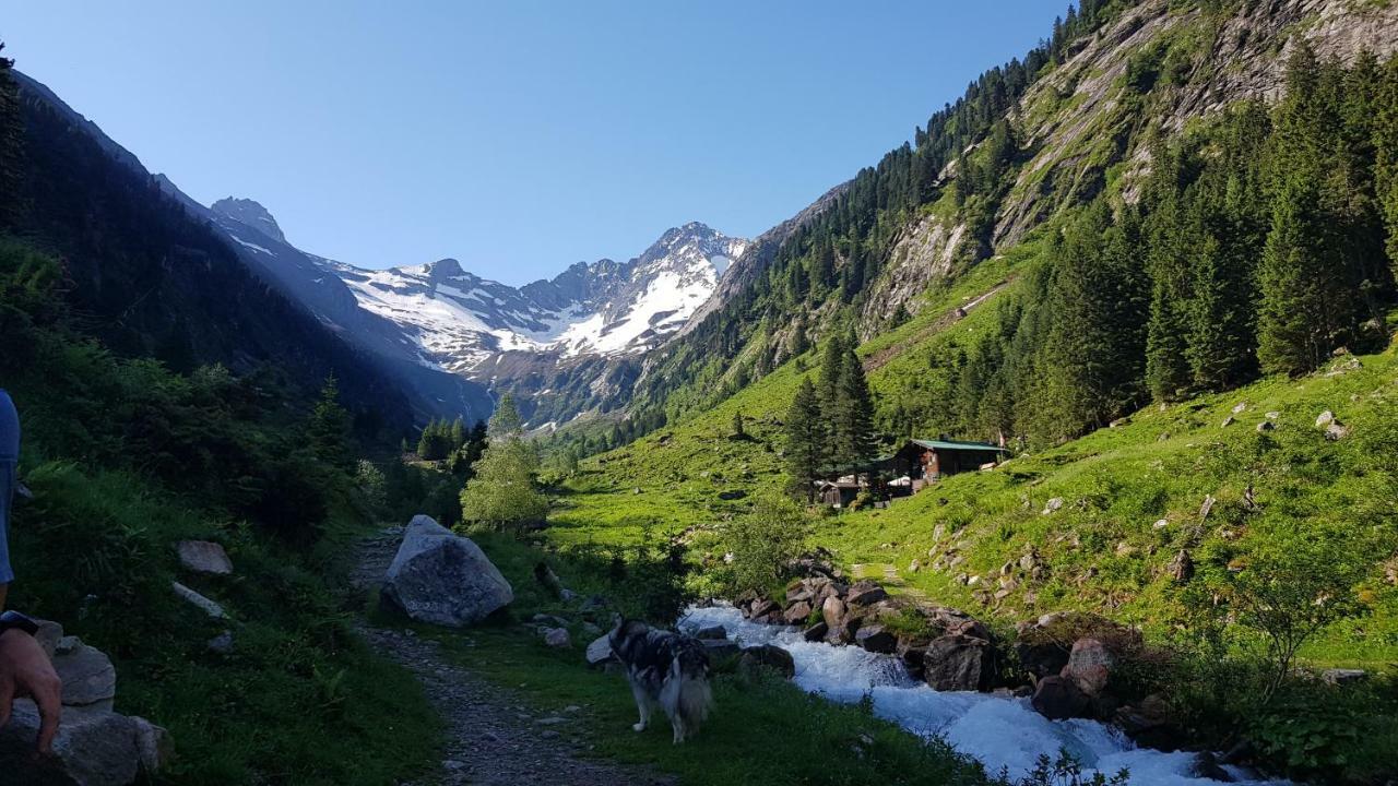 Eberl'S Zirbenlodge Гинцлинг Экстерьер фото
