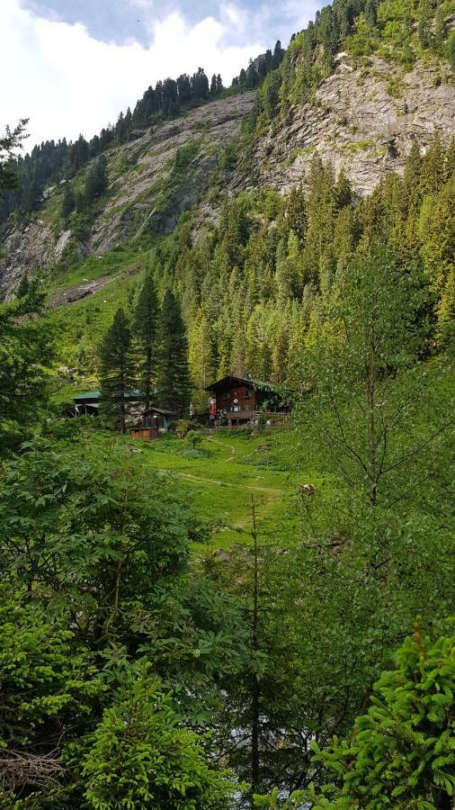 Eberl'S Zirbenlodge Гинцлинг Экстерьер фото